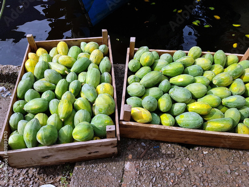 Papaya (Carica papaya) Caricaceae family. For sale at Banana market in Manaus, Amazon – Brazil photo