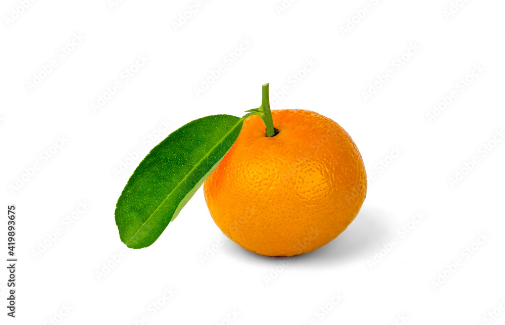 Oranges with leaves isolated on a white background Oranges with leaves isolated on a white background