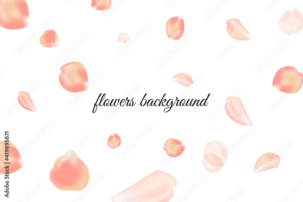 Flying petals on a white background. Vector won with a beautiful inscription Hello Spring. Flying petals on a white background. Vector won with a beautiful inscription Hello Spring.