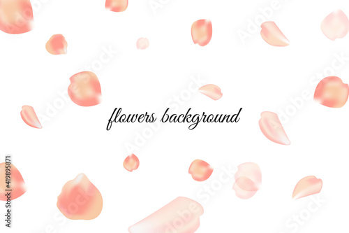 Flying petals on a white background. Vector won with a beautiful inscription Hello Spring.
