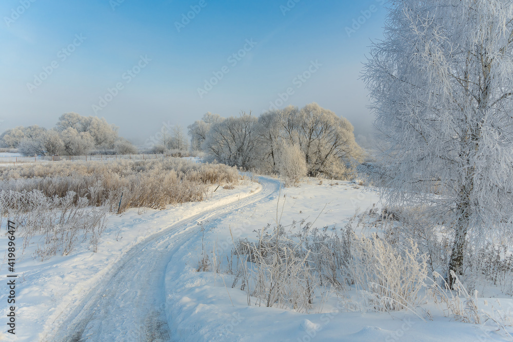 winter landscape with trees winter landscape with trees