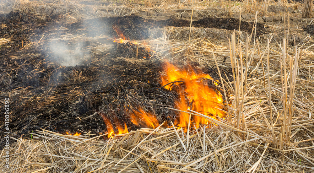 Straw fire Straw fire