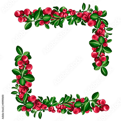  realistic hand drawn holly, ilex branch with berry , mistletoe. Christmas, new year holiday celebration symbol. Isolated illustration on a white background.