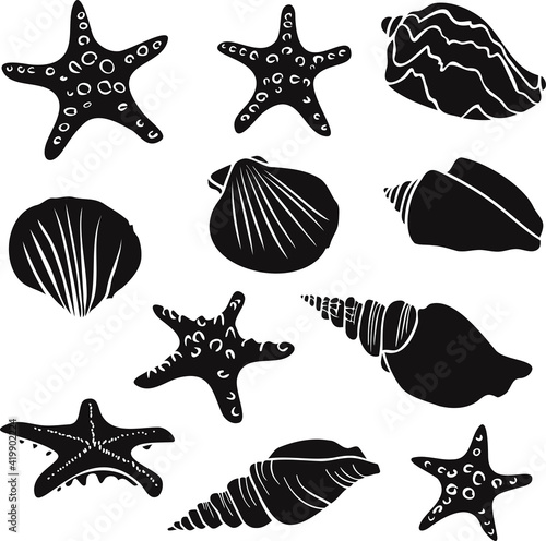 Black and white silhouettes of seashells and starfish. Vector collection.