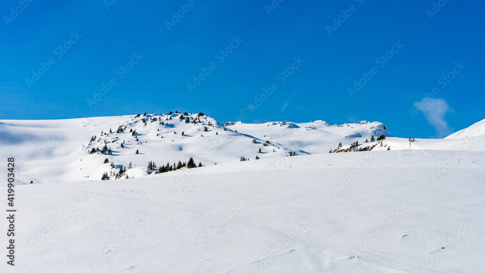 snow covered mountains in Bucegi mountain range
