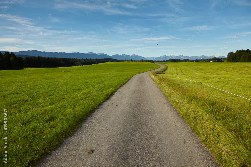 Fototapeta premium Path into the alps