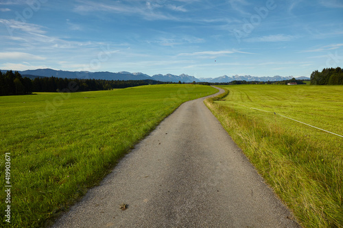 Path into the alps © Patrick Ranz