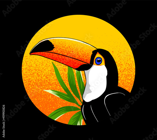 toucan bird on a branch