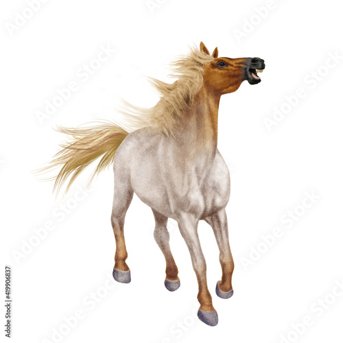  cheval, animal, fantaisie, blanc, étalon, tête roux, poney, photo, crin, illustration, poulain, chevalin, 3d, fond blanc, jument, debout, premier pas, féérique, andalou, pur, galop, amoureux des chev