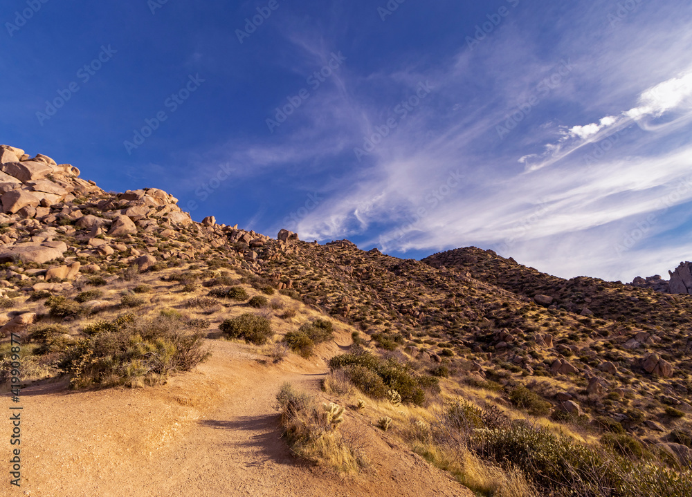 Desert Hiking Trail In The McDowell Mountains od Scottsdale, AZ