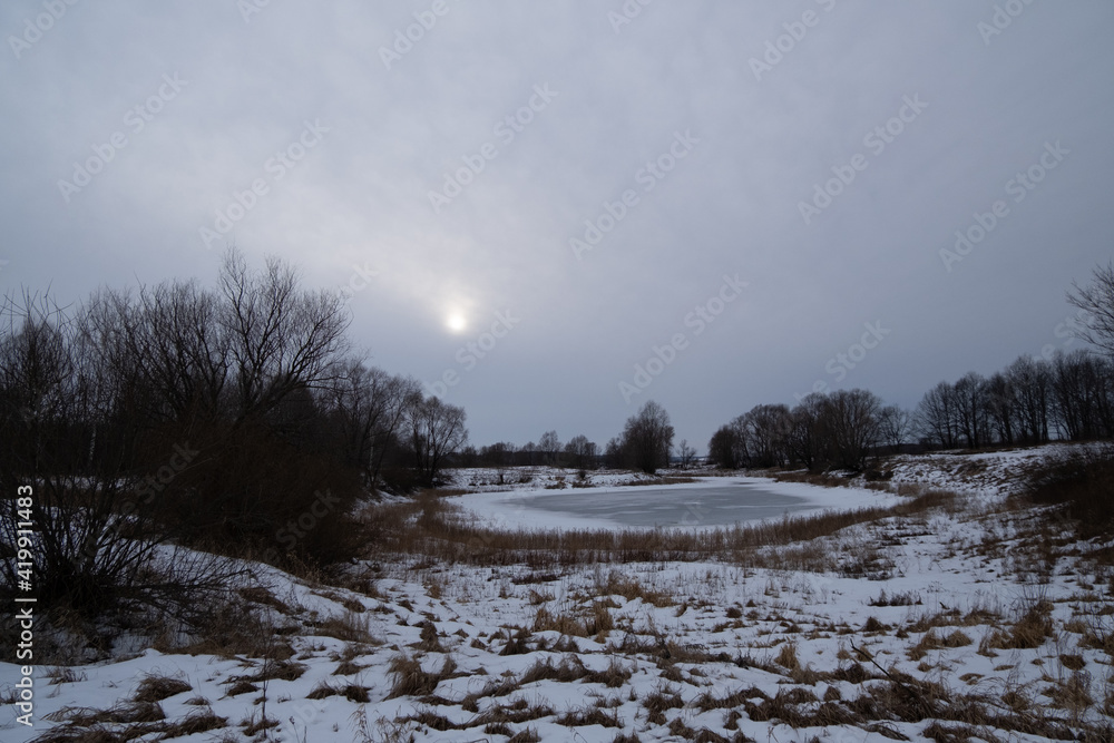 custom made wallpaper toronto digitalwinter landscape with trees