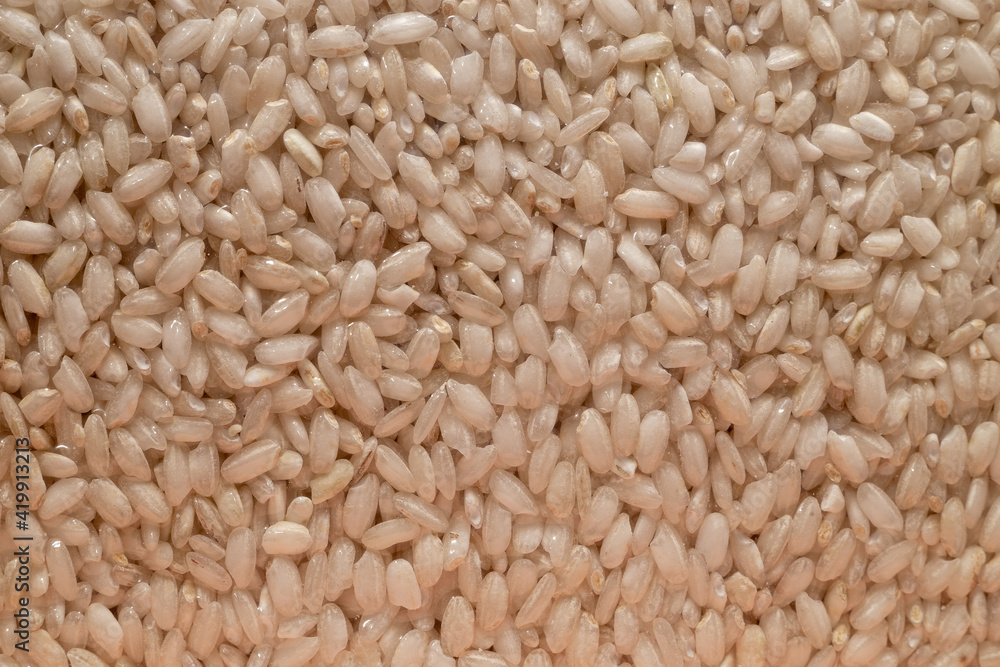 detail of rice grains