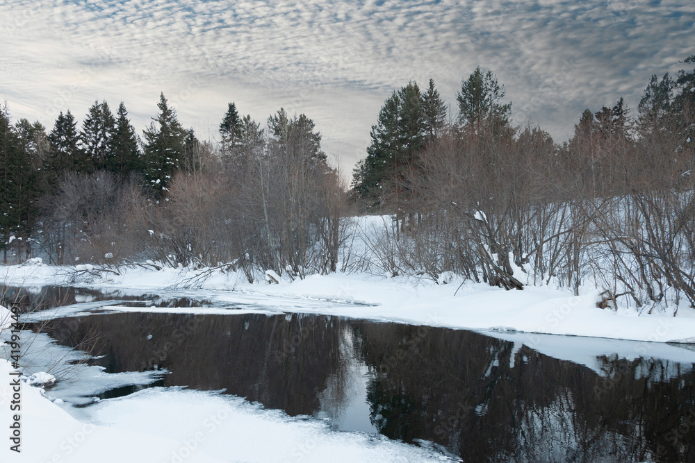 Obraz premium snow-covered forested bank of a city river not frozen in winter