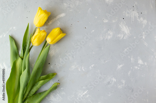 Three yellow tulips lie on a gray background. Spring holidays concept. Yellow and gray. Top view. Copy space. Horizontal orientation.