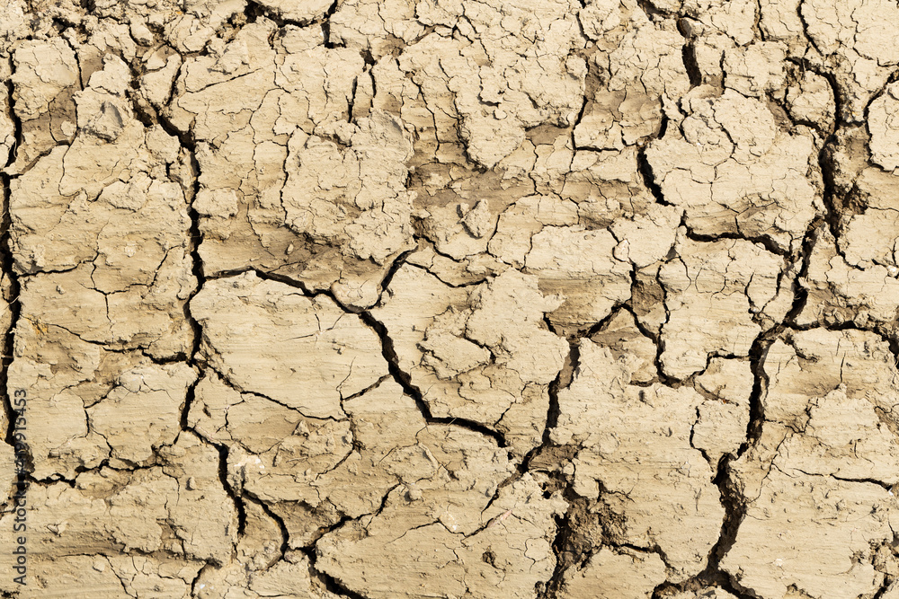 Fototapeta premium Background suitable for drought images of clods of earth and dry earth with cracks, macro photography of detail of cracks on the earth formed by the sun drying the earth, no water.