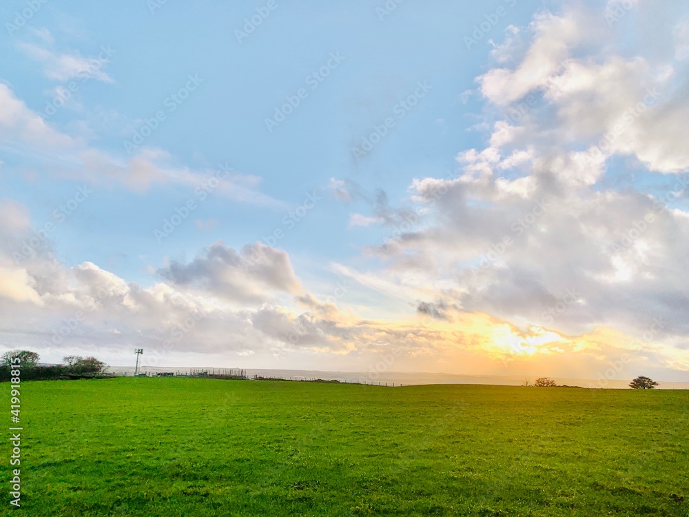 field and blue sky