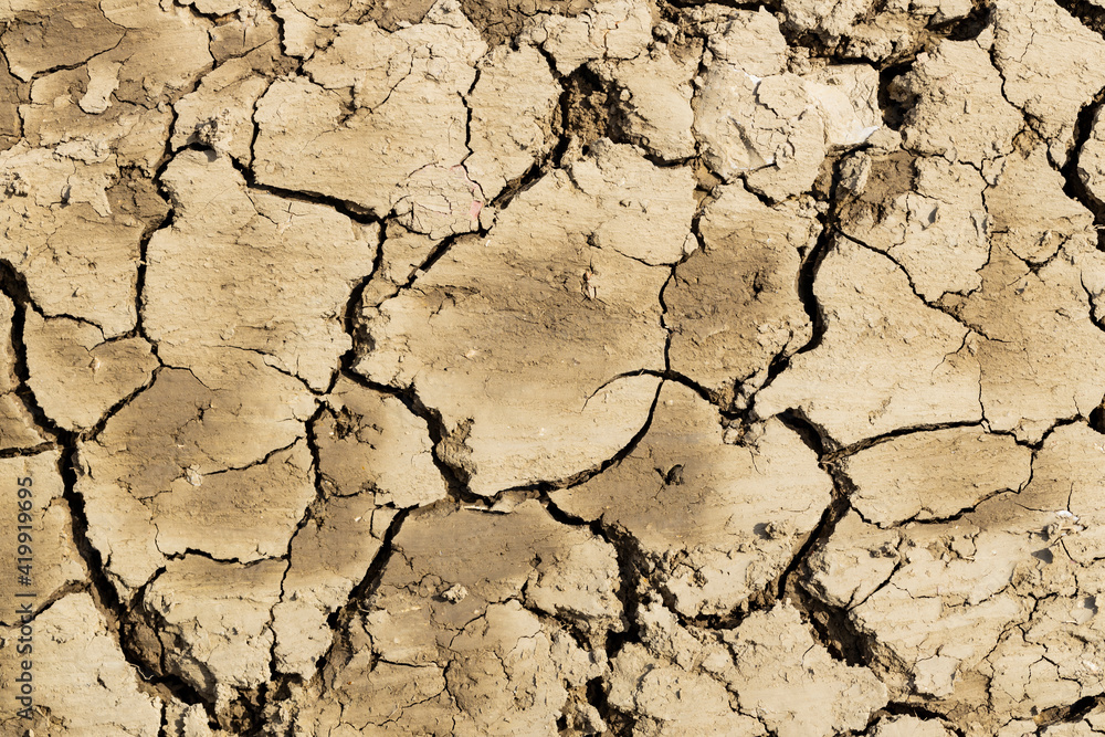 Fototapeta premium Background suitable for drought images of clods of earth and dry earth with cracks, macro photography of detail of cracks on the earth formed by the sun drying the earth, no water.