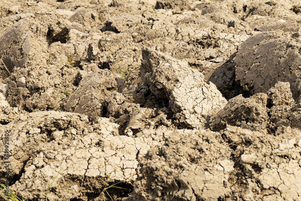 Background suitable for drought images of clods of earth and dry earth with cracks, macro photography of detail of cracks on the earth formed by the sun drying the earth, no water. Background suitable for drought images of clods of earth and dry earth with cracks, macro photography of detail of cracks on the earth formed by the sun drying the earth, no water.