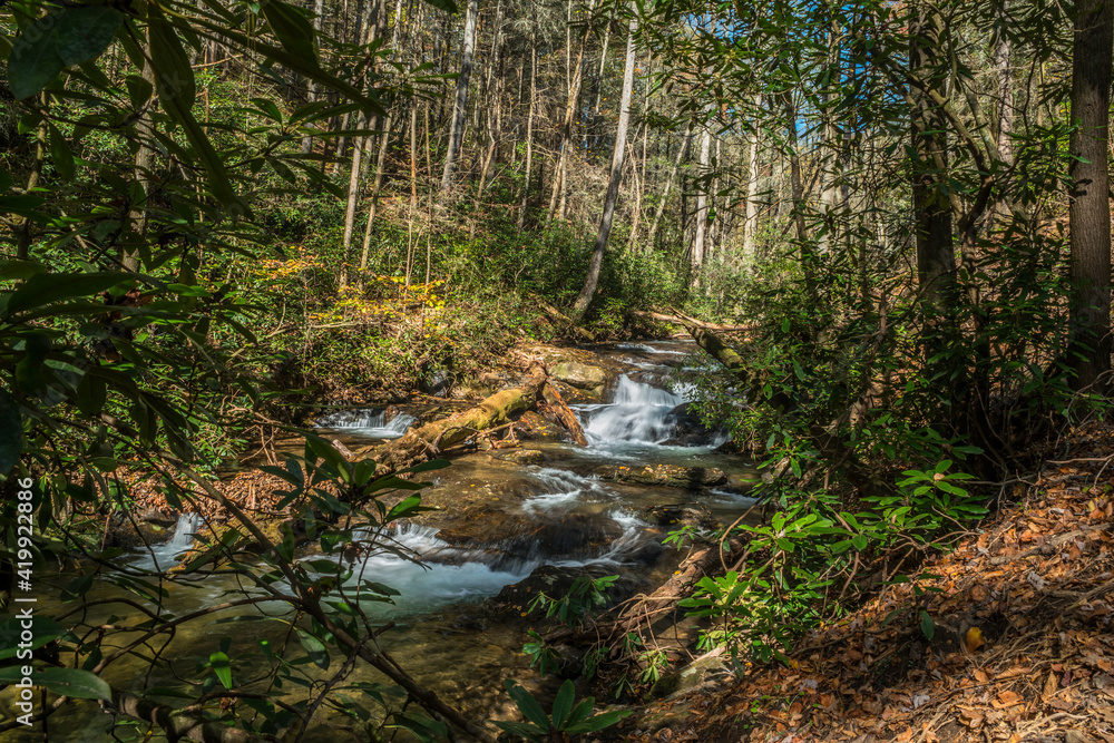Creek with small waterfalls Creek with small waterfalls