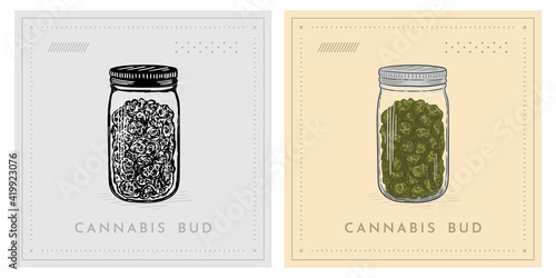 Cannabis Marijuana bud in jar