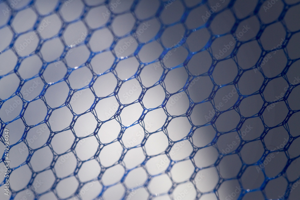 Fototapeta premium Close Up Of A Blue Net
