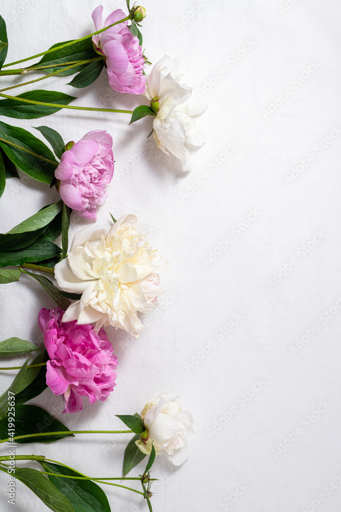 Flower composition pink and white peony flowers on white background. Holidays concept. Mothers day greeting card. Spring, flowering, summer flowers. Copy space