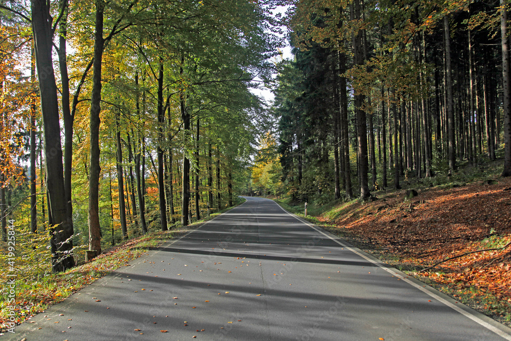 autumn autumn
