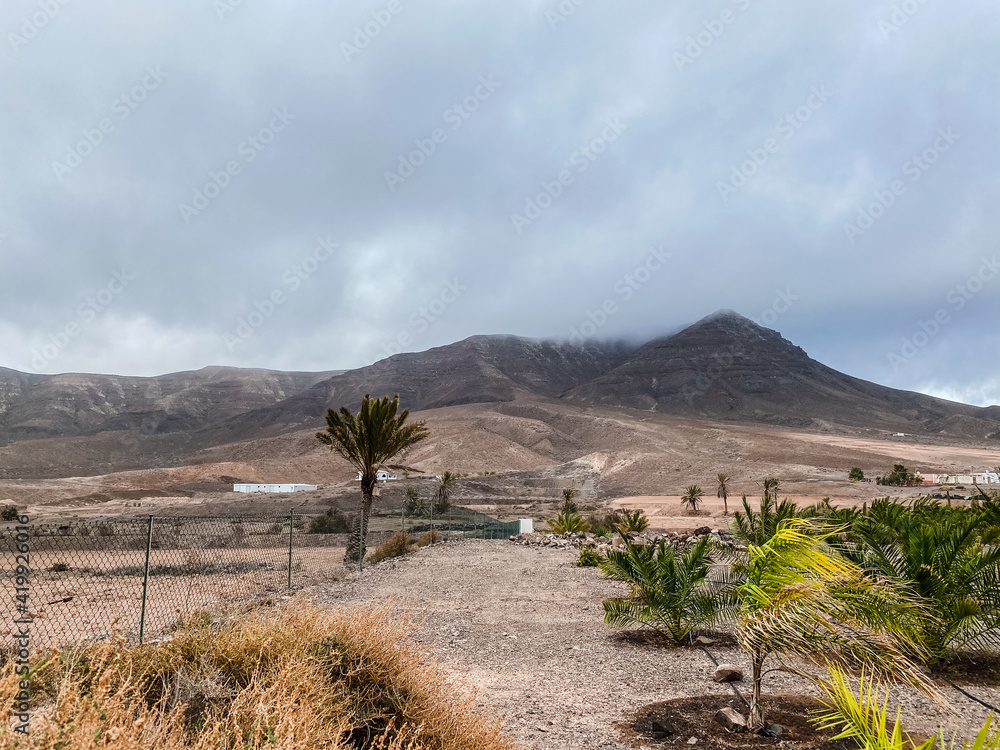 Fototapeta premium landscape with trees and sky