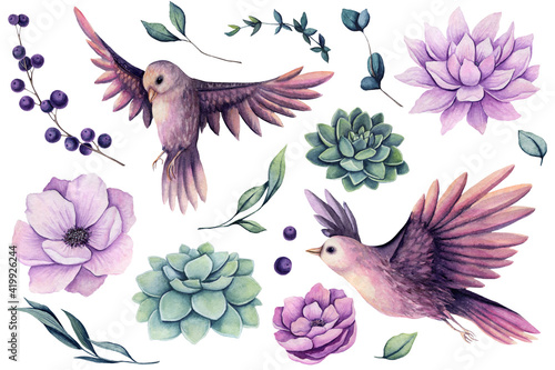 Set of Watercolor Birds, Flowers and Succulents