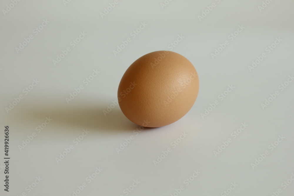 Brown Egg Brown Egg