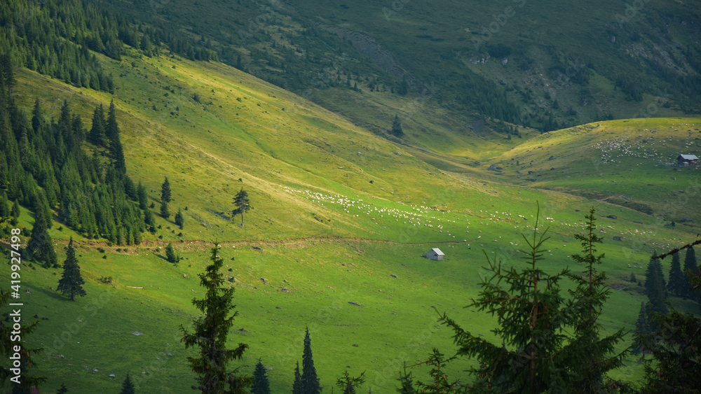 A rural sheepfold located on a mountainous valley in Rodna Massif, during sunset. Sun rays going through the clouds light small portions of the alpine meadow. Romania.