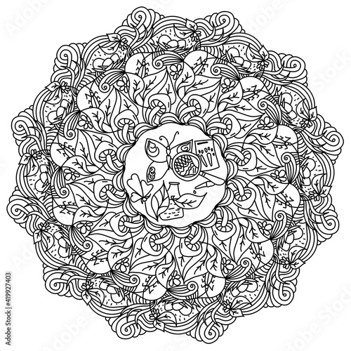 Mandala on the theme of the science of biology, contour coloring page in the form of a round frame and various natural symbols with patterns