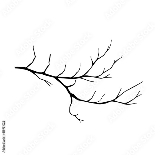 Naked tree branch. Vector illustration