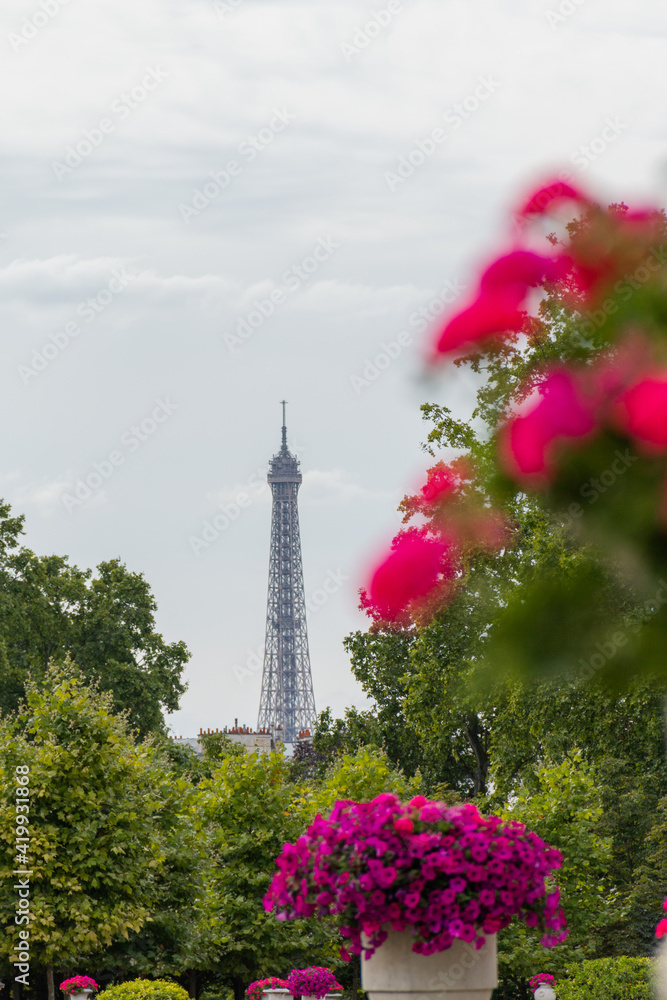 Beautiful flowers and trees with the Eiffel Tower in the distance Beautiful flowers and trees with the Eiffel Tower in the distance