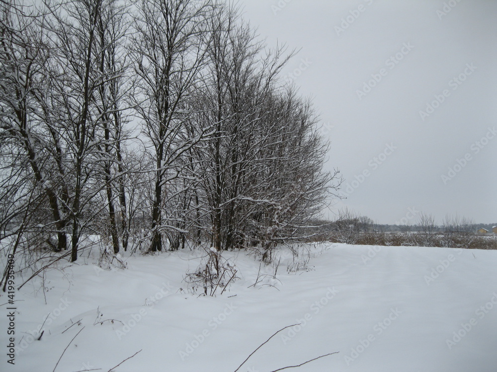 Beautiful winter landscape with snow and trees. Beautiful winter landscape with snow and trees.