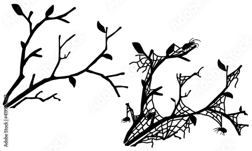 Spider web tree branch silhouette corner decoration black  vector illustration  horizontal  isolated