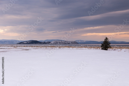 Late winter landscape with lone coniferous tree on the St. Lawrence River bank and small islands in the background, St-André-de-Kamouraska, Quebec, Canada