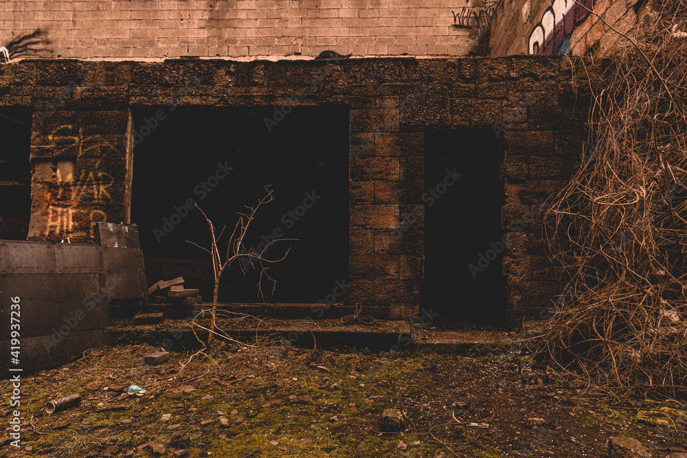 Fototapeta premium An old abandoned industrial area with graffitis