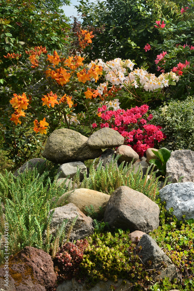 Garten 1141 Garten 1141