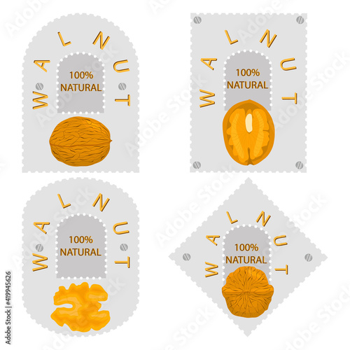 Illustration on theme big set different types walnut in nutshell
