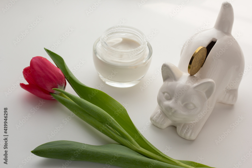 Closeup of a cat-shaped penny bank and facial moisturiser. Concept of affordable skin care. Closeup of a cat-shaped penny bank and facial moisturiser. Concept of affordable skin care.