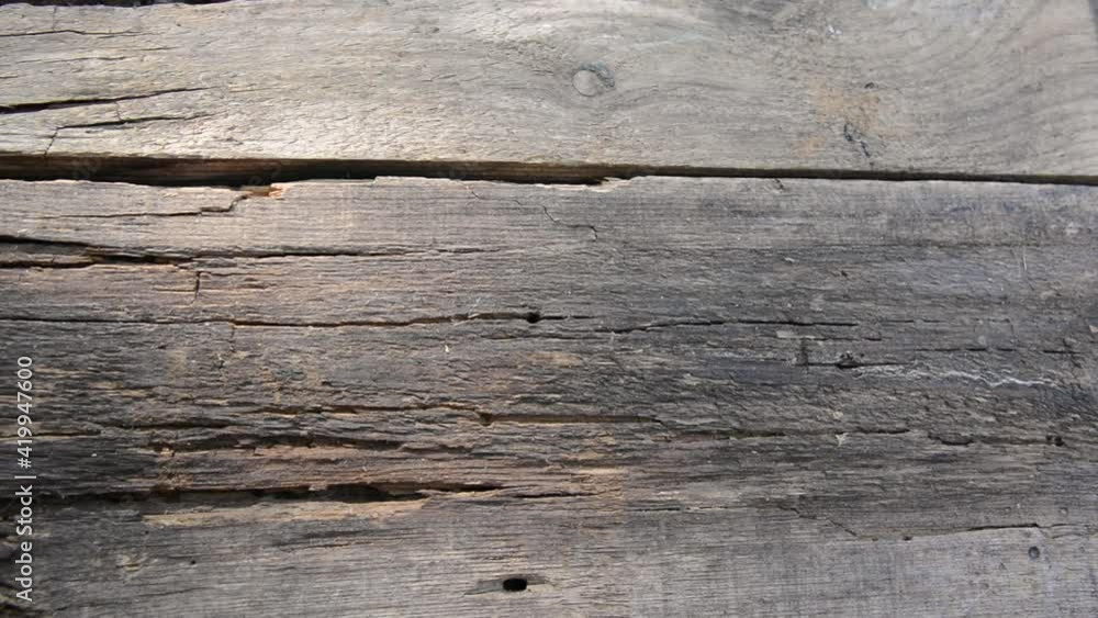 Old cracked texture of the wood horizontal motion camera. High quality FullHD footage Old cracked texture of the wood horizontal motion camera. High quality FullHD footage