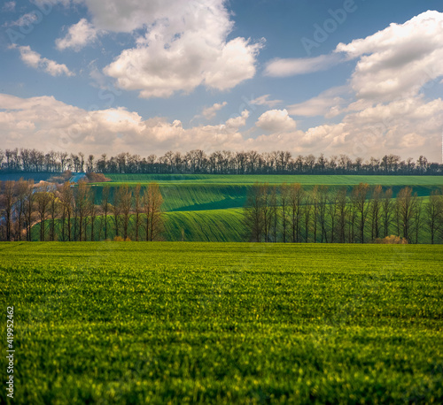 spring landscape of green slopes and hills with trees and clouds on the sky