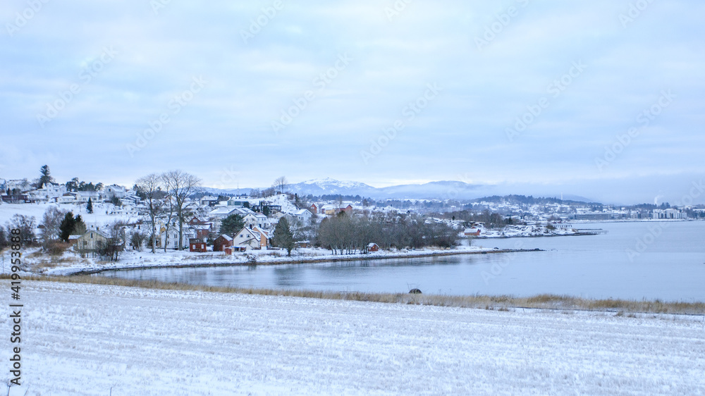A town along the fjord on a snowing day. A very cold day at Ranheim, Trondheim, Norway.
