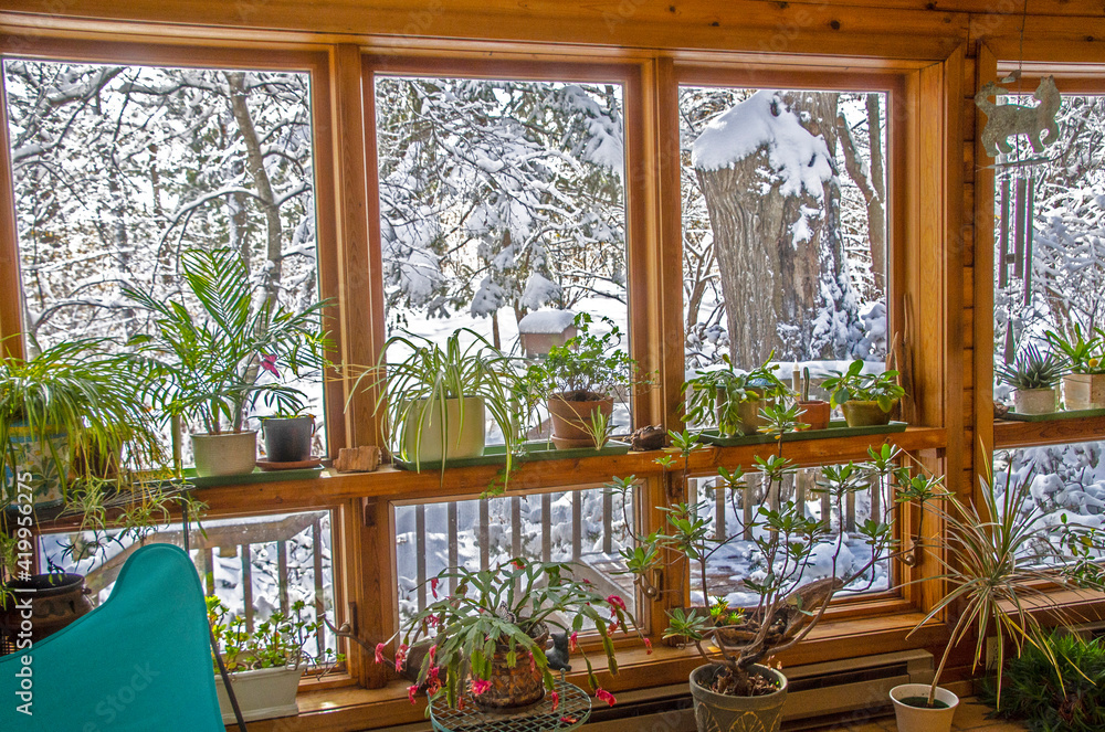 USA, Minnesota, Mendota Heights, Solarium Framed by Snowy Woods