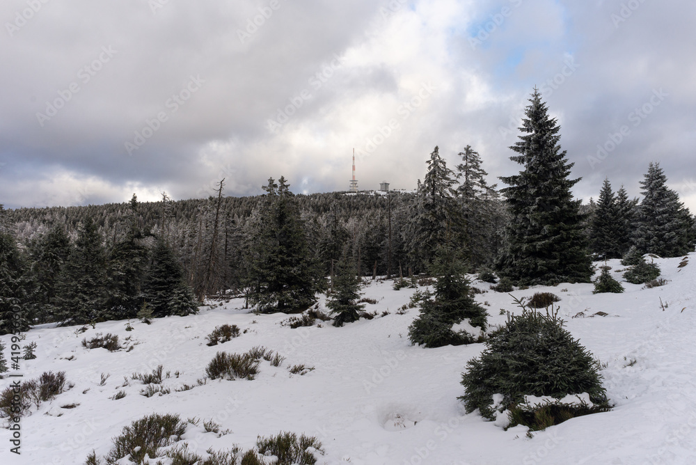 snow covered trees in the mountains snow covered trees in the mountains