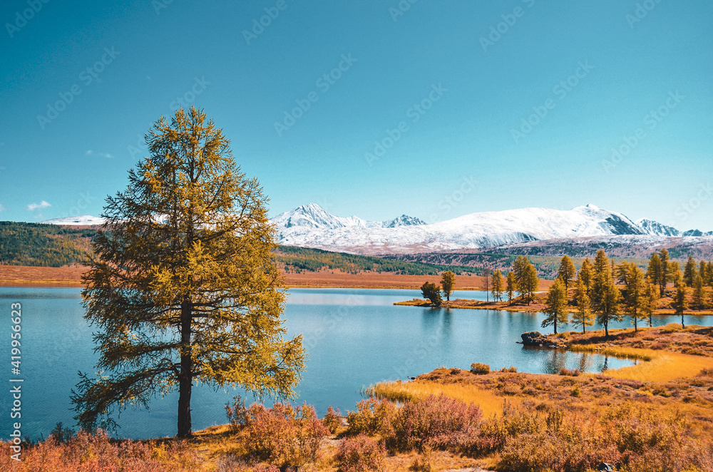 lake in autumn. Altay