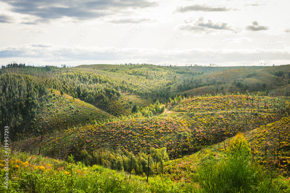Landscape view with beautiful skies and hills full of vegetation. Portugal district of Mação with is beautiful vegetation Landscape view with beautiful skies and hills full of vegetation. Portugal district of Mação with is beautiful vegetation