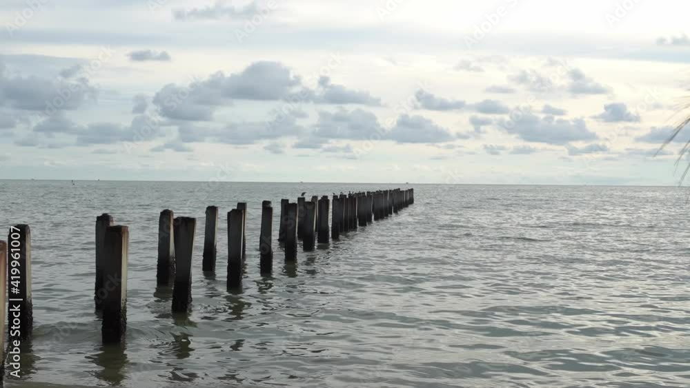 Broken bridge at sea coastal move from pine tree Broken bridge at sea coastal move from pine tree