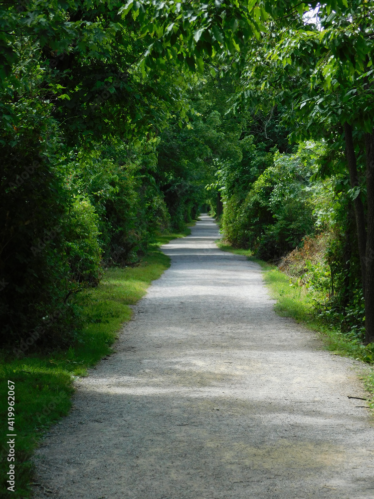 Naklejka premium Path in the park